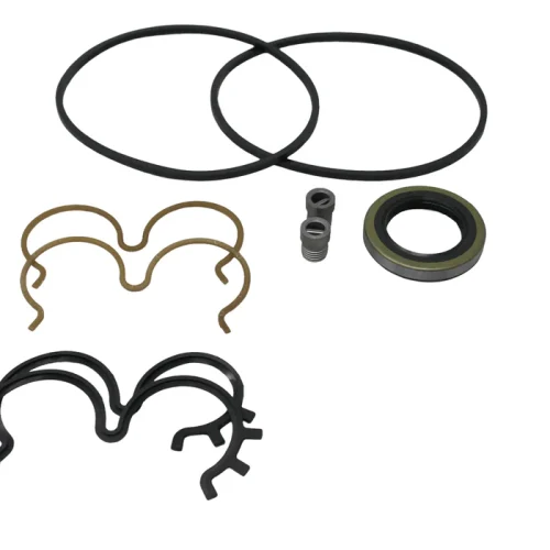 Bomba P315 | Kit de Empaques Bombas Doble